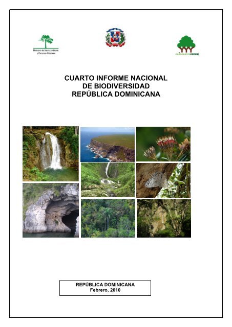 La caoba criolla, árbol nacional dominicano. - Revista Tinglar