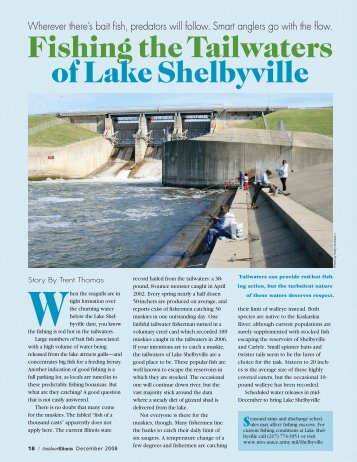 Fishing the Tailwaters of Lake Shelbyville - Illinois DNR