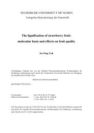 The lignification of strawberry fruit: molecular basis and ... - BiNa