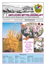 AMTLICHES MITTEILUNGSBLATT - Stadt Schirgiswalde