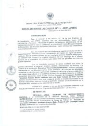 MUNICIPALIDAD DISTRITAL DE CARABAYLLO