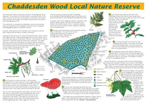 Chaddesden Wood Local Nature Reserve