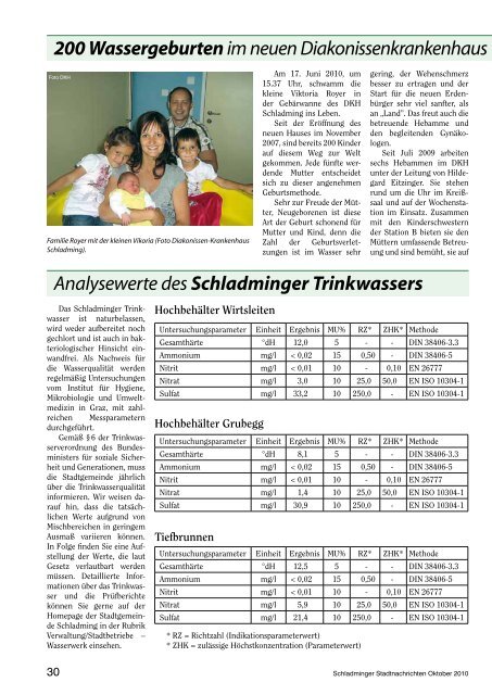 Gemeinderat 2010 - Schladming