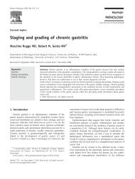 Staging and grading of chronic gastritis - Department of Pathology ...