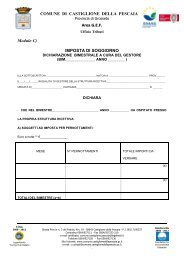 Modulo C Dichiarazione riepilogativa - Comune di Castiglione della ...
