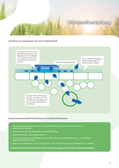 Seguris und Bontima InformationsbroschÃ¼re - Syngenta