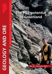 The PGE potential in Greenland