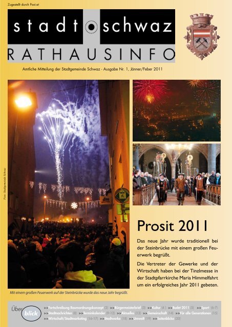 Budget 2011 - Schwaz