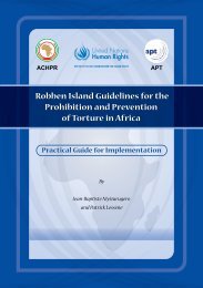 Robben Island Guidelines for the Prohibition and Prevention of ...