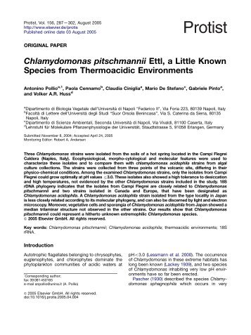 Chlamydomonas pitschmannii Ettl, a Little Known Species from ...