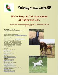 Part 1 - the Welsh Pony & Cob Association of California