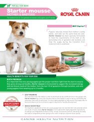 Starter mousse - Royal Canin Canada