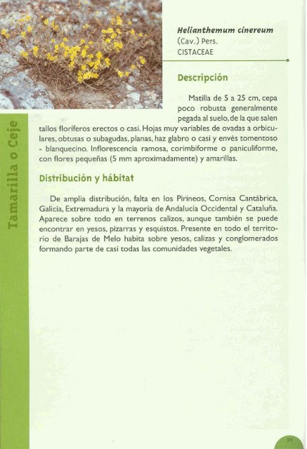 Plantas silvestres de Barajas de Melo - aitorgaston.com