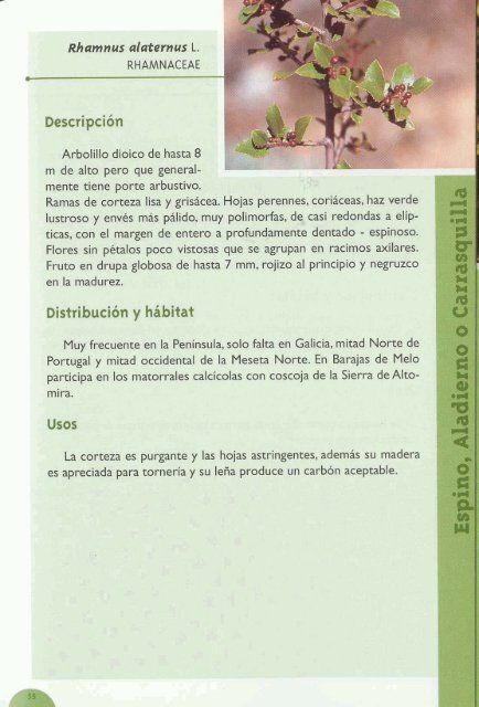 Plantas silvestres de Barajas de Melo - aitorgaston.com