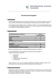 Infoblatt BV 12_12.pdf - Berufsbildende Schulen Walsrode