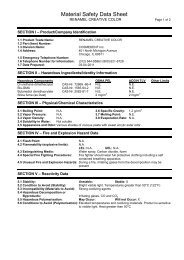 MSDS-Creative Color - Cosmedent