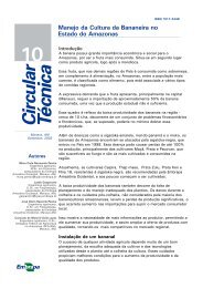 Circ Tec 10 - Embrapa