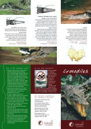 2004109 Crocodile Brochure - Department of Environment and ...