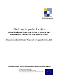 Ghid practic pentru lucrator privind cele mai bune practici de ...