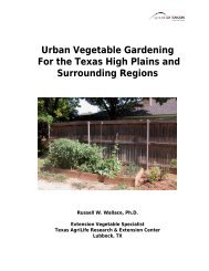 Urban Vegetable Gardening on the Texas High Plains - Texas A&M ...