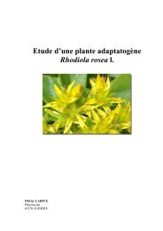 Rhodiola rosea - Hippocratus