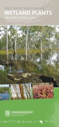 to access Wetland Plants Identification Guide - South East Natural ...