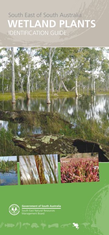 to access Wetland Plants Identification Guide - South East Natural ...