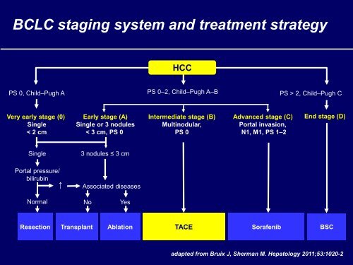 Professor Lencioni ILCA 2011.pdf - Biocompatibles