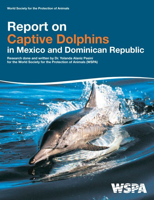 Report on Captive Dolphins in Mexico & the Dominican Republic.