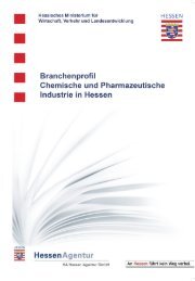 Branchenprofil Chemische und Pharmazeutische Industrie in Hessen