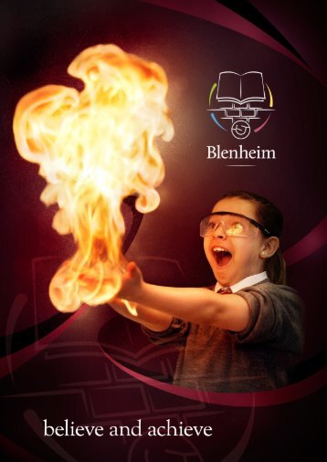 Prospectus - Blenheim High School