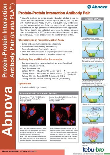 Abnova Protein-Protein Interaction Antibody Pair - tebu-bio