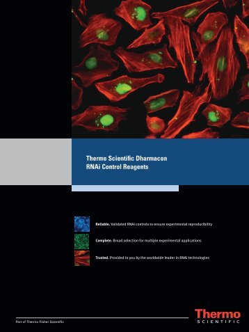 RNAi positive controls - Thermo Scientific