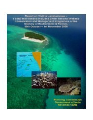 Report on Lakshadweep Wetlands/coral reefs. - of Planning ...