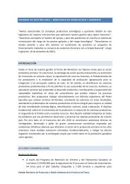 INFORME DE GESTIÓN 2010 - Ministerio de la Produccion ...