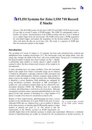 FLIM Systems for Zeiss LSM 710 Record Z Stacks - Becker & Hickl