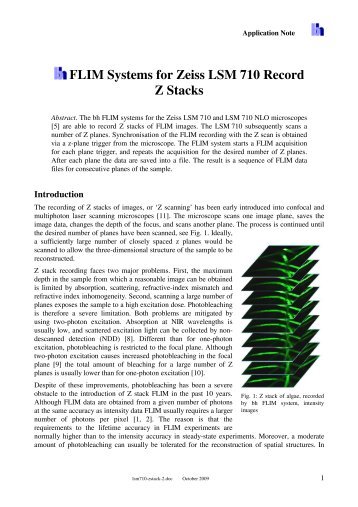 FLIM Systems for Zeiss LSM 710 Record Z Stacks - Becker & Hickl