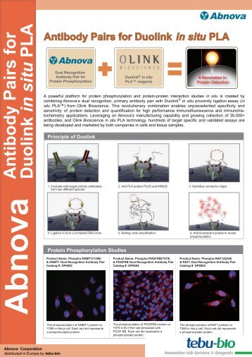 Abnova Antibody Pairs for Duolink in situ PLA - Tebu-Bio