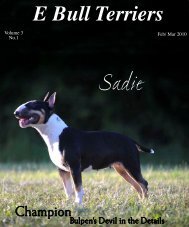 Download Feb / March 2010 Edition in PDF - E Bullterriers