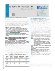 A Protocol for siRNA Transfection - SignaGen