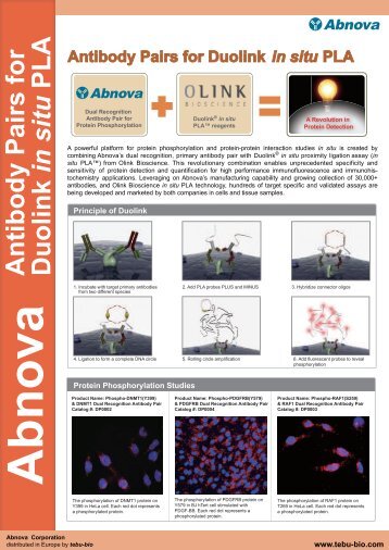 Abnova Antibody Pairs for Duolink in situ PLA - tebu-bio