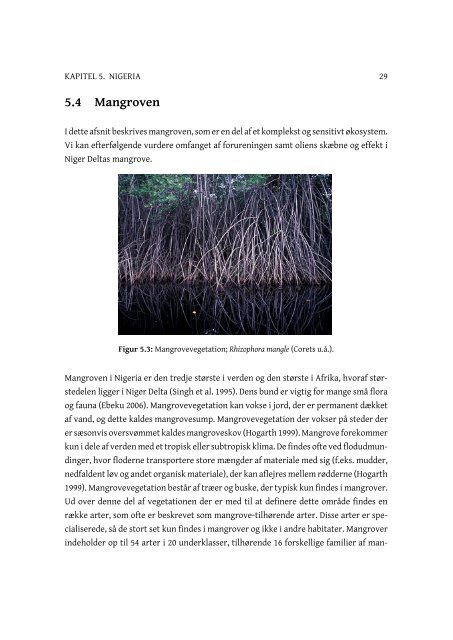 Olieforurening i den nigerianske mangrove - Roskilde Universitet