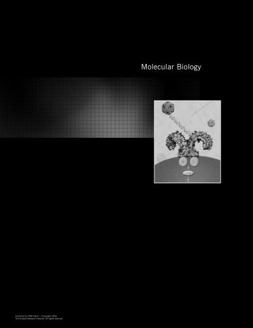 Molecular Biology - The Scripps Research Institute