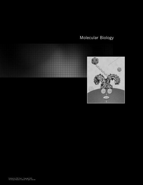 Molecular Biology - The Scripps Research Institute