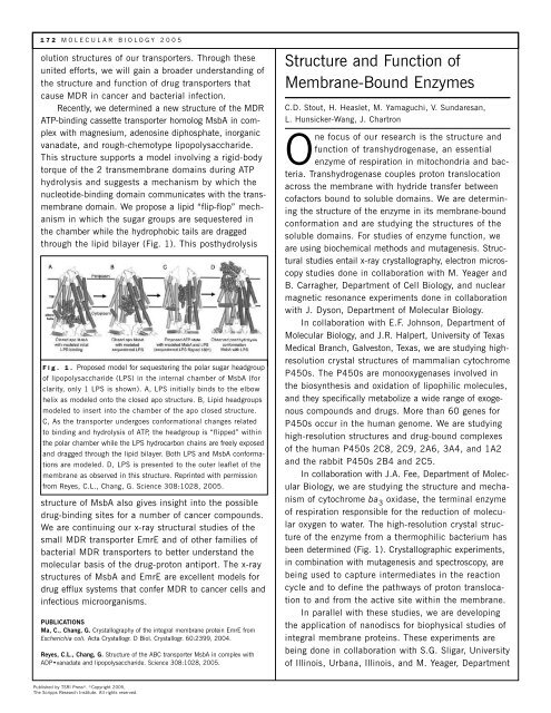 Molecular Biology - The Scripps Research Institute