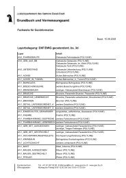 Layerbelegung: DXF/DWG geostandard_bs_3d - Stadtplan