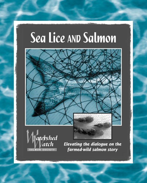 Sea Lice AND Salmon - Farmed And Dangerous