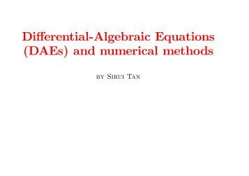 Differential-Algebraic Equations (DAEs) and numerical methods