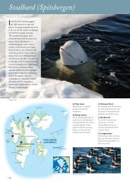 Svalbard (Spitsbergen) - Audley Travel