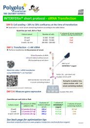 INTERFERinÂ® short protocol siRNA Transfection - Brunschwig-ch.com